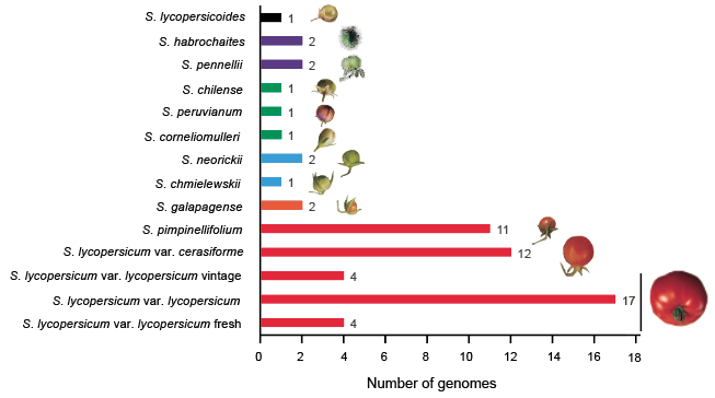species